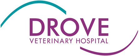 Drove Vets Swindon logo